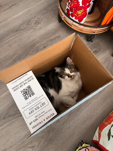 Customer photo review of 1 Month Supply – 2 Cat