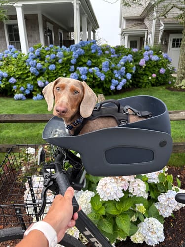 Customer photo review of Kvisp Dog Bike Carrier