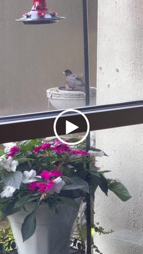 Customer video review of Two Button Fountain Pump and Battery Compartment - no connection port