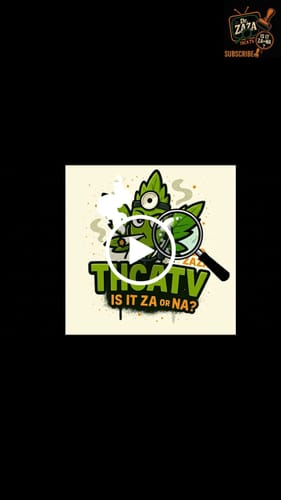 Customer video review of Cheap THCA Flower Ounce