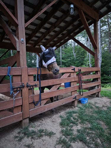 Customer photo review of Hay Chix® Half Bale Net