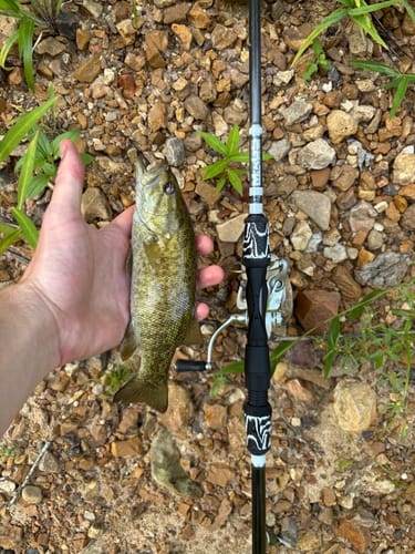 Customer photo review of Custom Spinning Rod