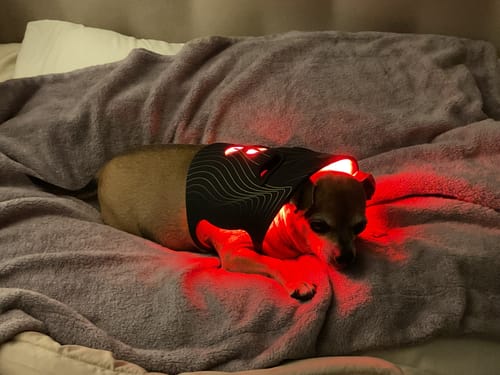 Customer photo review of INIA GLOW Wireless Red Light Therapy Mask