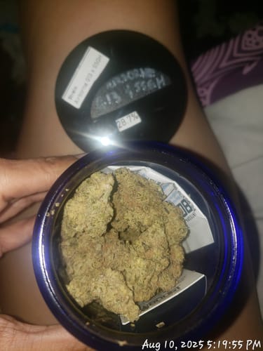 Customer photo review of Airborne G13 × Super Silver Grail Haze