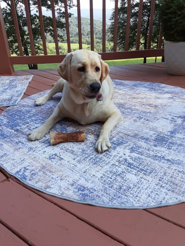 Customer photo review of Smoked Beef Marrow Bone