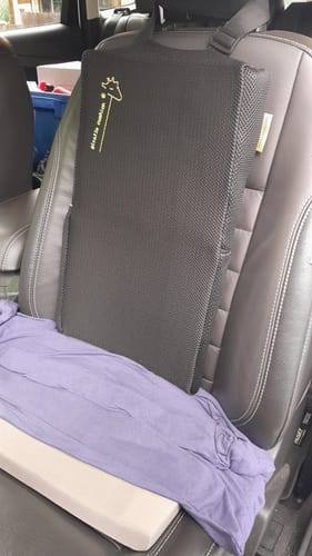 Customer photo review of Giraffe Cushion