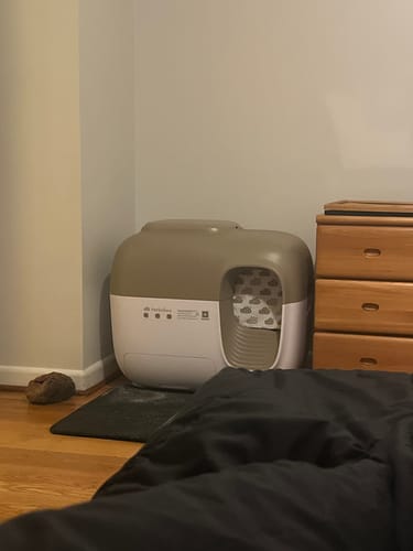 Customer photo review of Self-Cleaning Litter Box