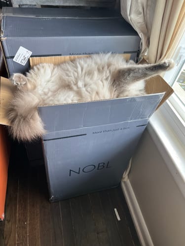 Customer photo review of Luggage Cover