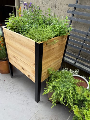 Customer photo review of 18″ x 24″ Raised Garden Bed - 30" TALL