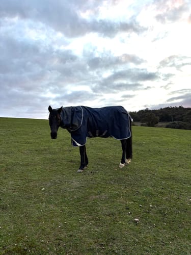 Mf J. review of Amigo 1200D Plus Turnout 100g image 1 out of 1