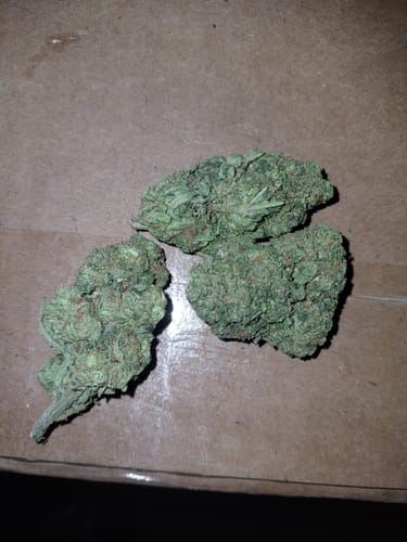 Customer photo review of Shipping Protection by Route