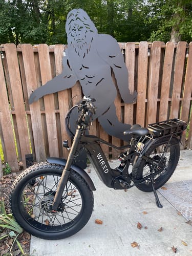 Customer photo review of WIRED Predator