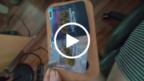 Christian C. review of Northern Lights THC-A Blüten image 1 out of 1