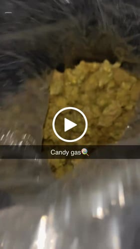 Customer video review of Cheap THCA Flower Pound