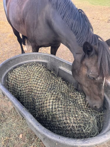 Customer photo review of Hay Chix® 2-Strand Bale Net (Small Bale Net)