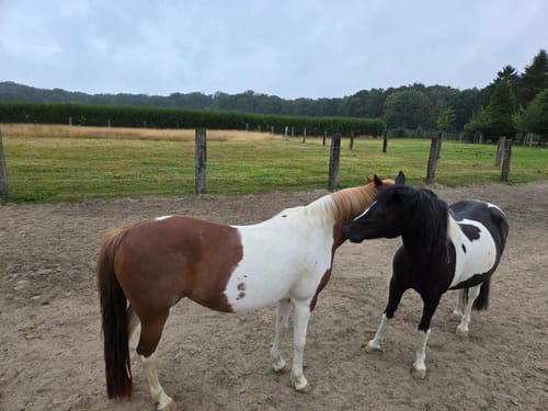 Customer photo review of Detox Complete