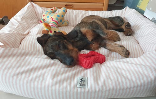 Customer photo review of Cover Divanetto Cotone Righe Strette Rosa