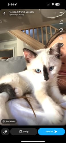 Customer photo review of Fit Litter PLUS - 1 month supply - 2 cat