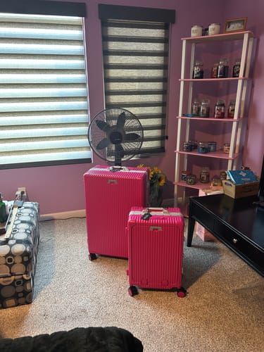 Customer photo review of Check-in: All-in-One 28"