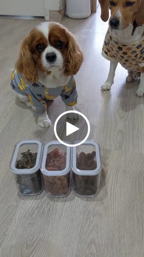 Customer video review of Sausage Treats- Party Mix! (Combination)