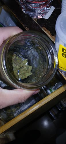 Customer photo review of Blackcherry Blaster
