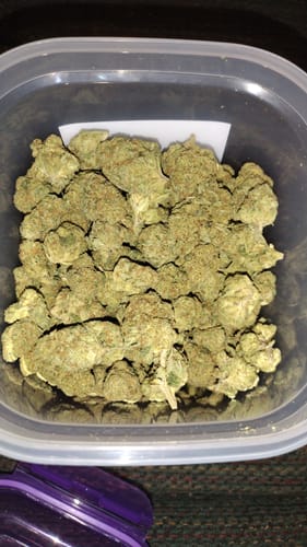 Customer photo review of Shipping Protection by Route