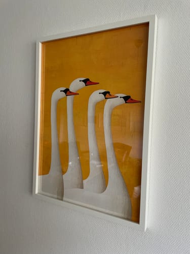 Customer photo review of Swans Print