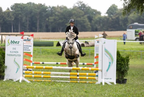 Customer photo review of Strotonin Horse Support