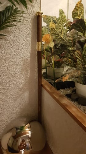 Constantin V. review of Dragon Pattern Alloy Gold Stainless Steel Cane Sword image 1 out of 1