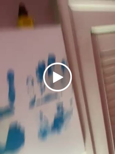 Customer video review of Quackey - Fidget Toy that Quacks!