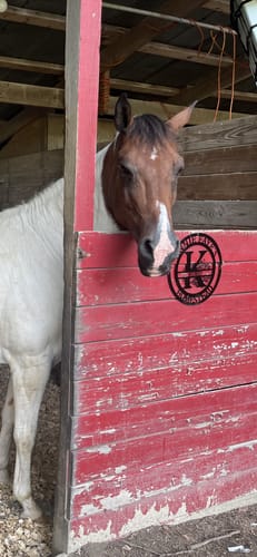 Faye R. review of Custom Metal Family Established Monogram Wall Art - 20+ Color Options image 1 out of 5