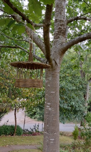 Customer photo review of The Willow Bird Feeder Kit