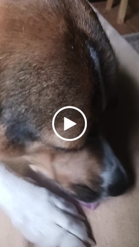 Customer video review of DA-01™ Daily All-in-One Complete Care