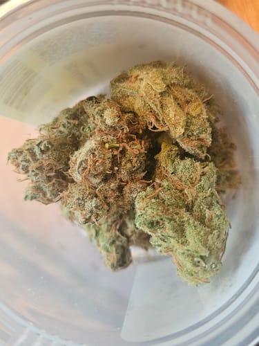 Customer photo review of Shishkaberry x Old Widow