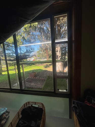 Customer photo review of Cat Door, Cat Window Insert