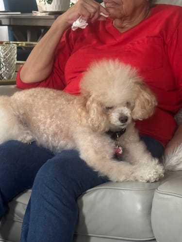 Customer photo review of DA-01™ Daily All-in-One Complete Care