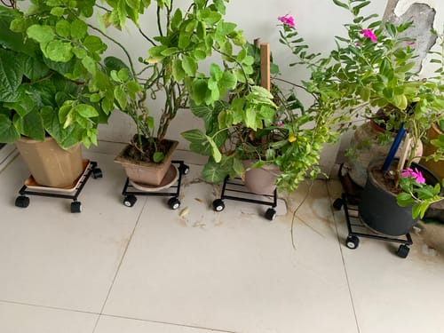 Customer photo review of United Crafts Rozy Wheel Pot Stands for Planters