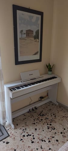 Customer photo review of Donner DDP-95 Pianoforte digitale