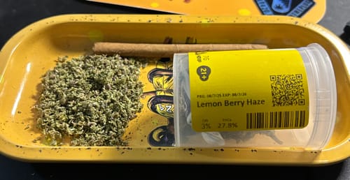 Customer photo review of Lemon Berry Haze