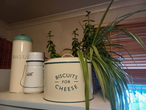 Customer photo review of Cheese Biscuit Tin