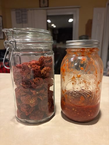 Customer photo review of Carolina Reaper Peppers