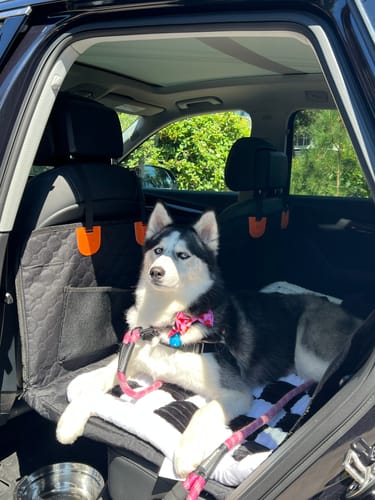Customer photo review of RuffRover 2.0™ - Hard Bottom Back Seat Extender + (FREE Dog Bed)
