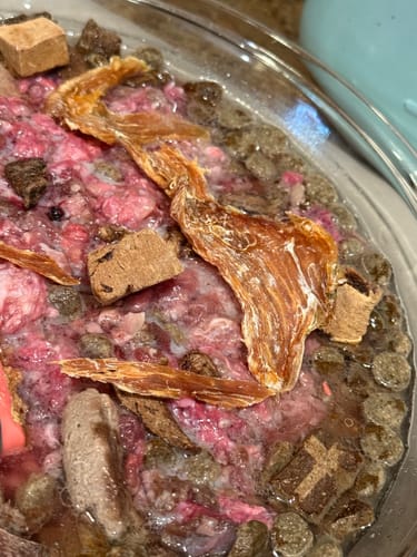 Customer photo review of 4 Pack of Treats