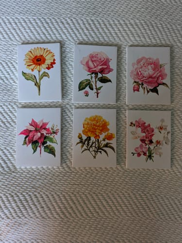 Customer photo review of Petal Poetry (Set of 6)
