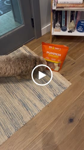 Customer video review of Pumpkin Chicken