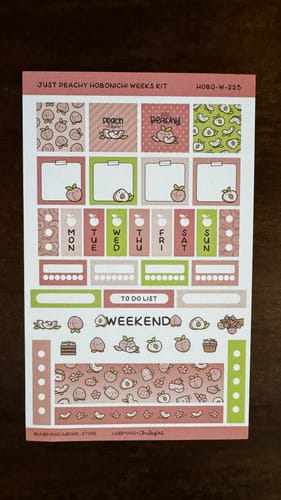 Customer photo review of Just Peachy Theme Hobonichi Weeks Kit