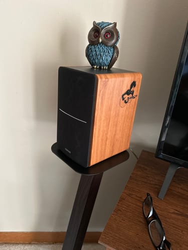 Customer photo review of Grilles - R1280DB Black- Pair For R1280DB Speakers