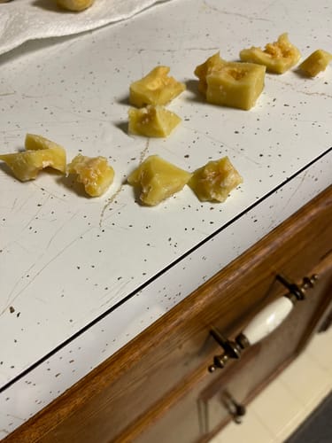 Customer photo review of Yak Promo--2 Large Yaks