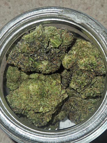 Customer photo review of Lemon Berry Haze