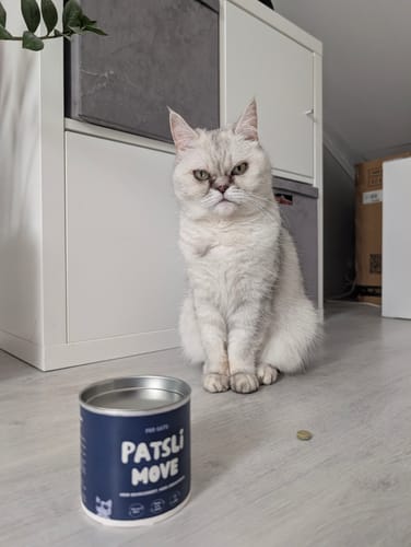 Customer photo review of Patsli Move